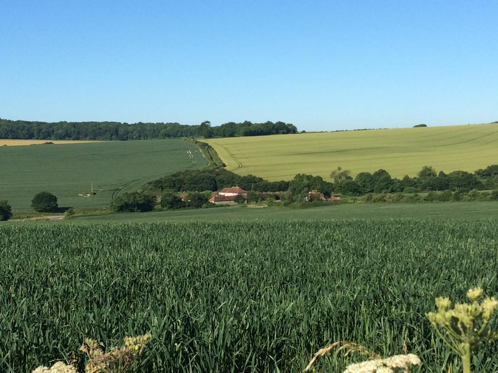 Shepherds Barn West Dean Екстериор снимка