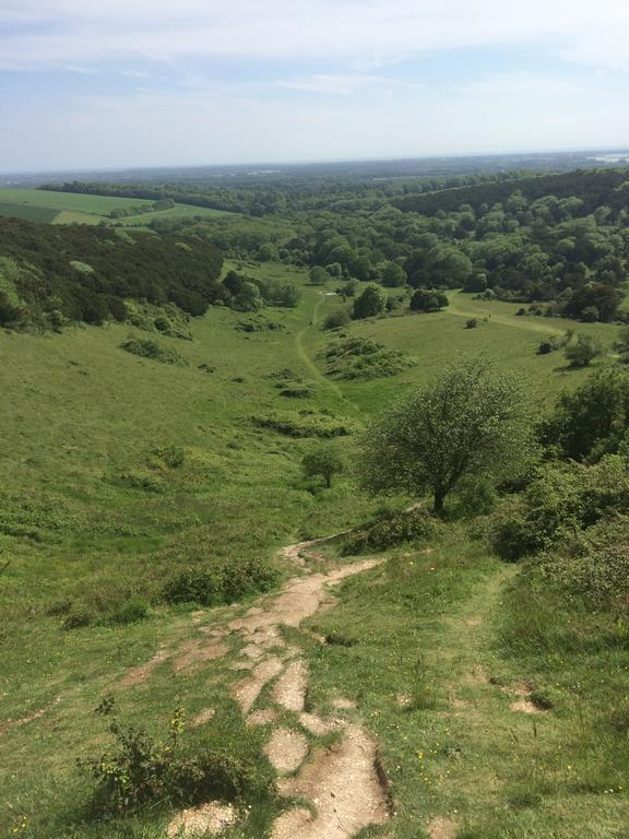 Shepherds Barn West Dean Екстериор снимка